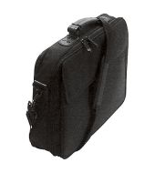 Entry Value Carrying Case